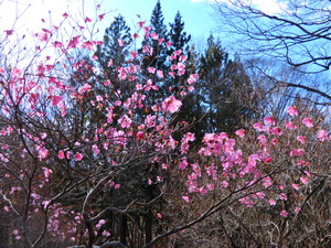 DSCN0040