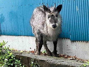 IMG_6676