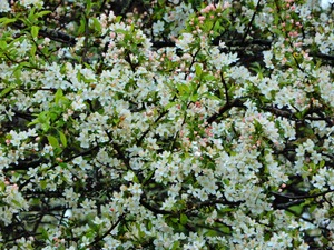 DSCN9486