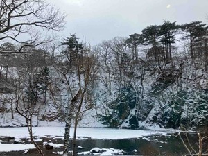 IMG_1031