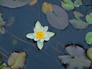 DSCN0136