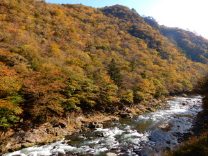 DSCN9572