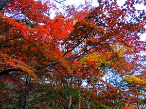 DSCN1667
