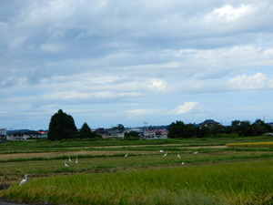 DSCN1041