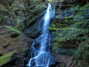 DSCN0181