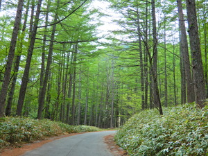 DSCN9931