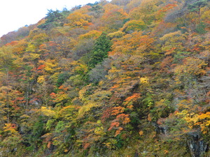 DSCN0399