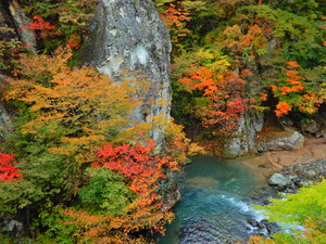 DSCN0039
