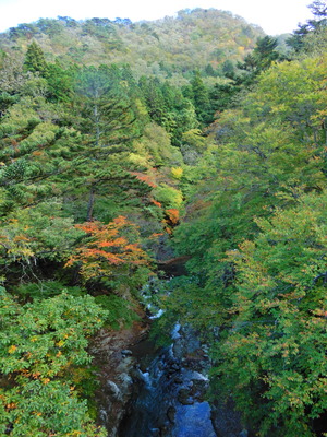 DSCN0228