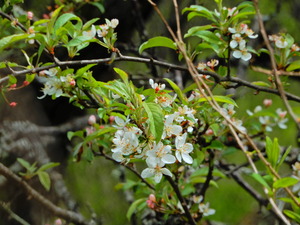 DSCN9818