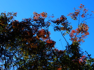 DSCN9807