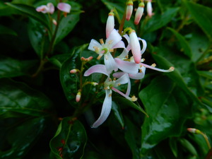 DSCN9485