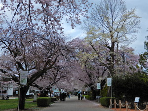 DSCN9748