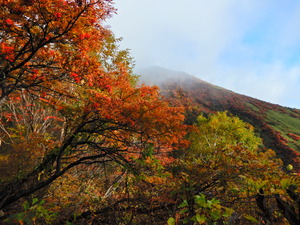 DSCN9567