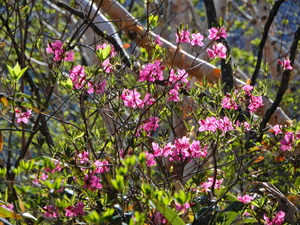DSCN0354