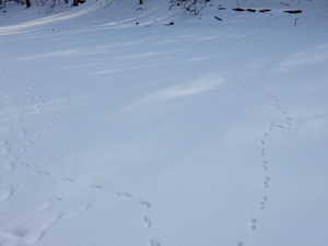 DSCN0296