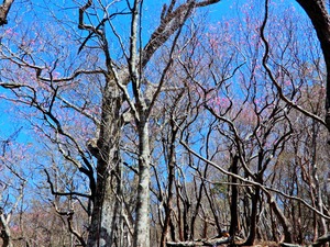 DSCN0480