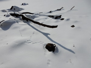 DSCN0292