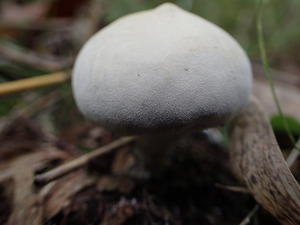 P9270239