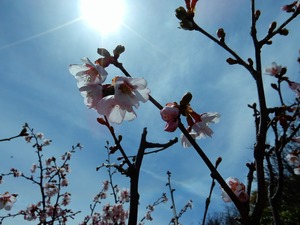 DSCN9906