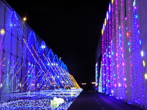 DSCN0989