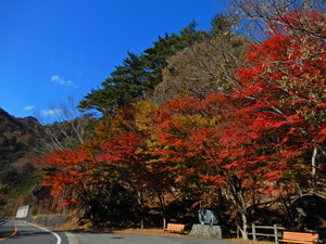 DSCN9455