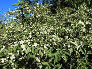 DSCN0425