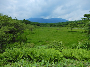 DSCN0129