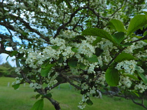DSCN0274