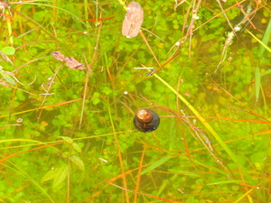 DSCN0057