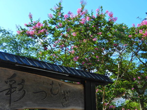 DSCN0535