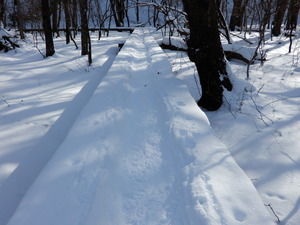 DSCN0275