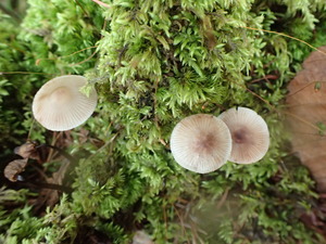 P9270249