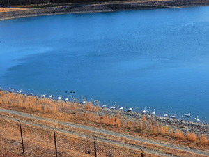 DSCN0078