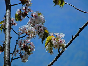 DSCN9782