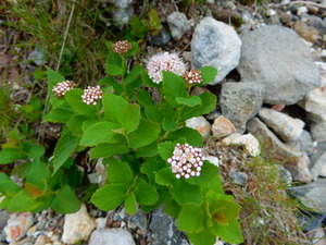 DSCN9982