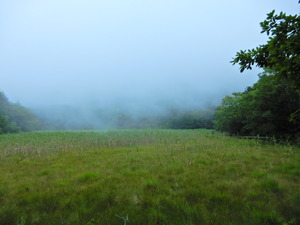 DSCN0241