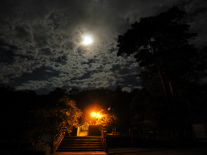 DSCN9880