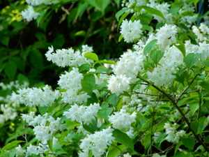 DSCN9969