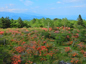 DSCN0139