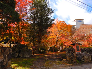 DSCN9545