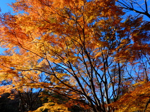DSCN0270