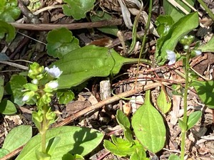 IMG_9210
