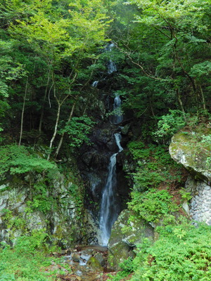 DSCN9446