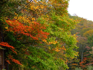 DSCN0625