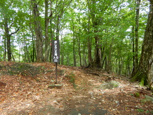 DSCN0731