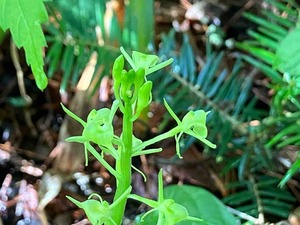 IMG_0152