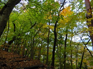 DSCN1218