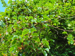 DSCN0140