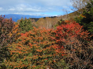 DSCN9567